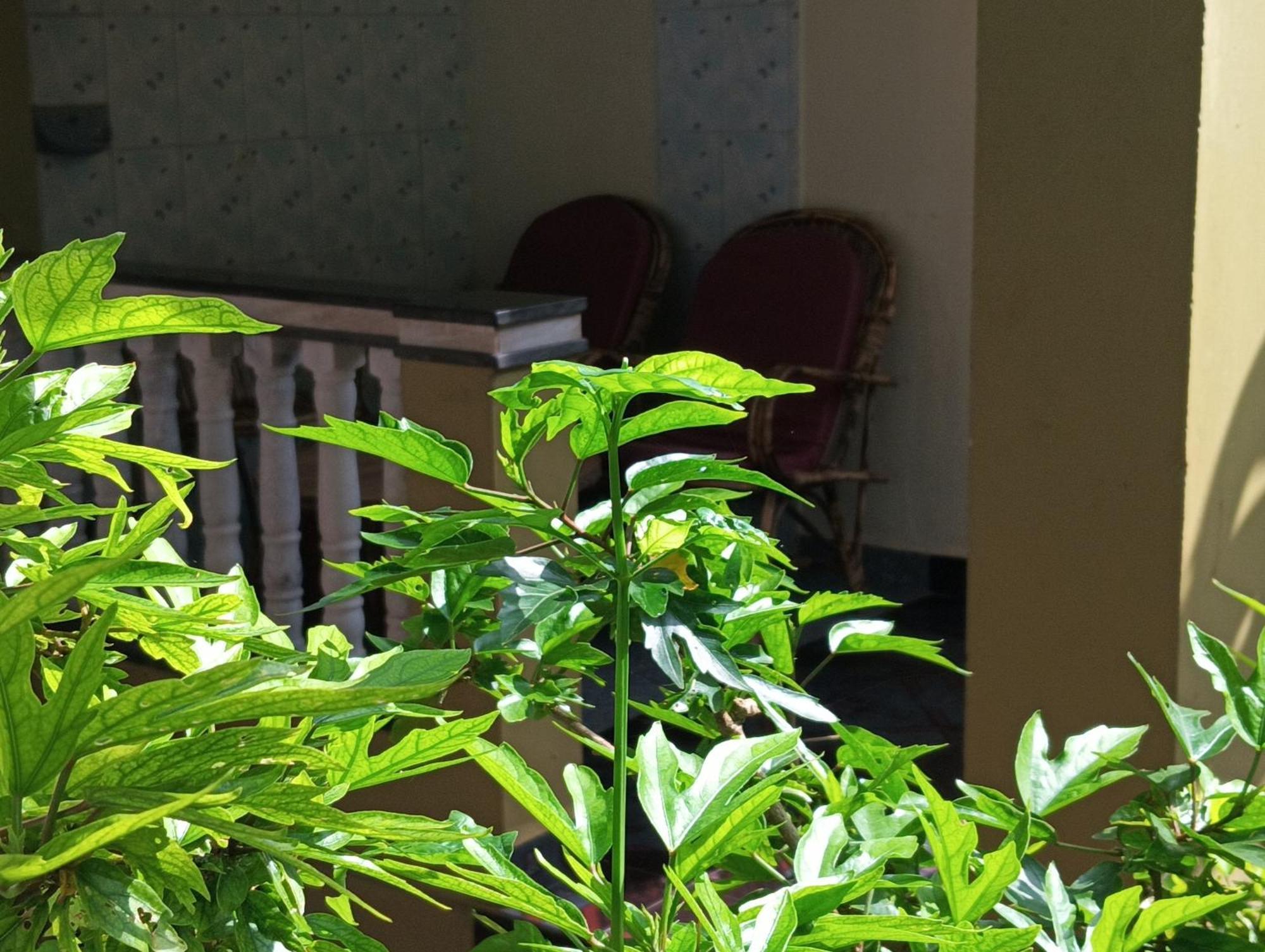 Hotel Monsoon Agonda Pokój zdjęcie
